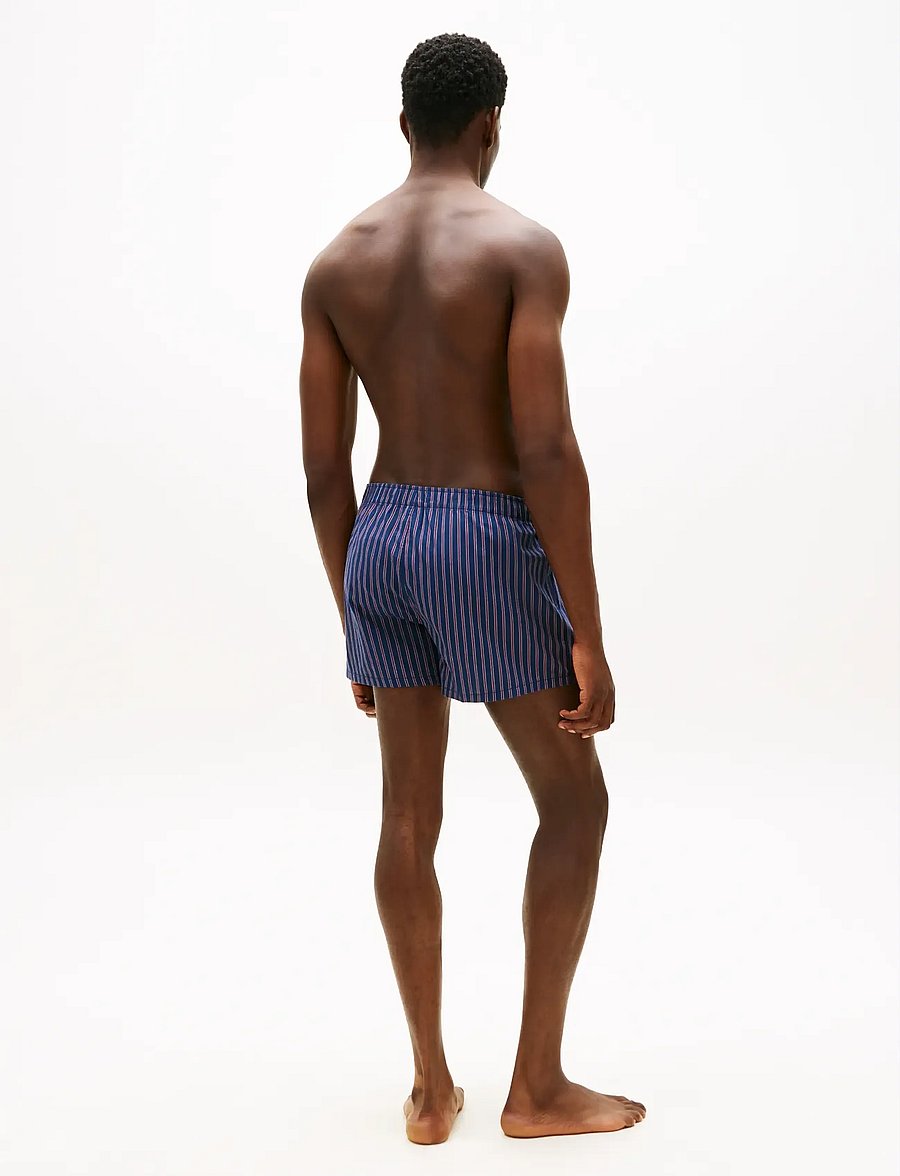 Tommy Hilfiger - 3P WOVEN BOXER PRINT - multipakk aluspüksid - wnd pn chk ras juc rwb stpe - 5