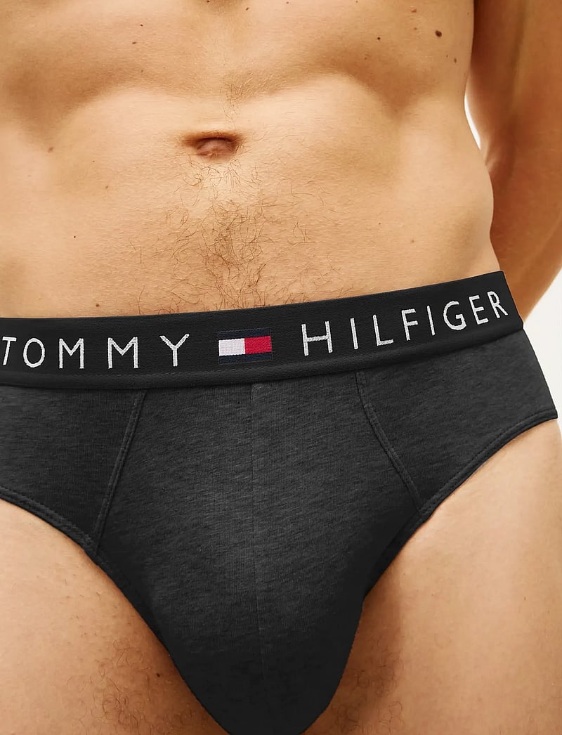 Tommy Hilfiger - 3P BRIEF - multipack underbukser - blk desert cop blu - 3