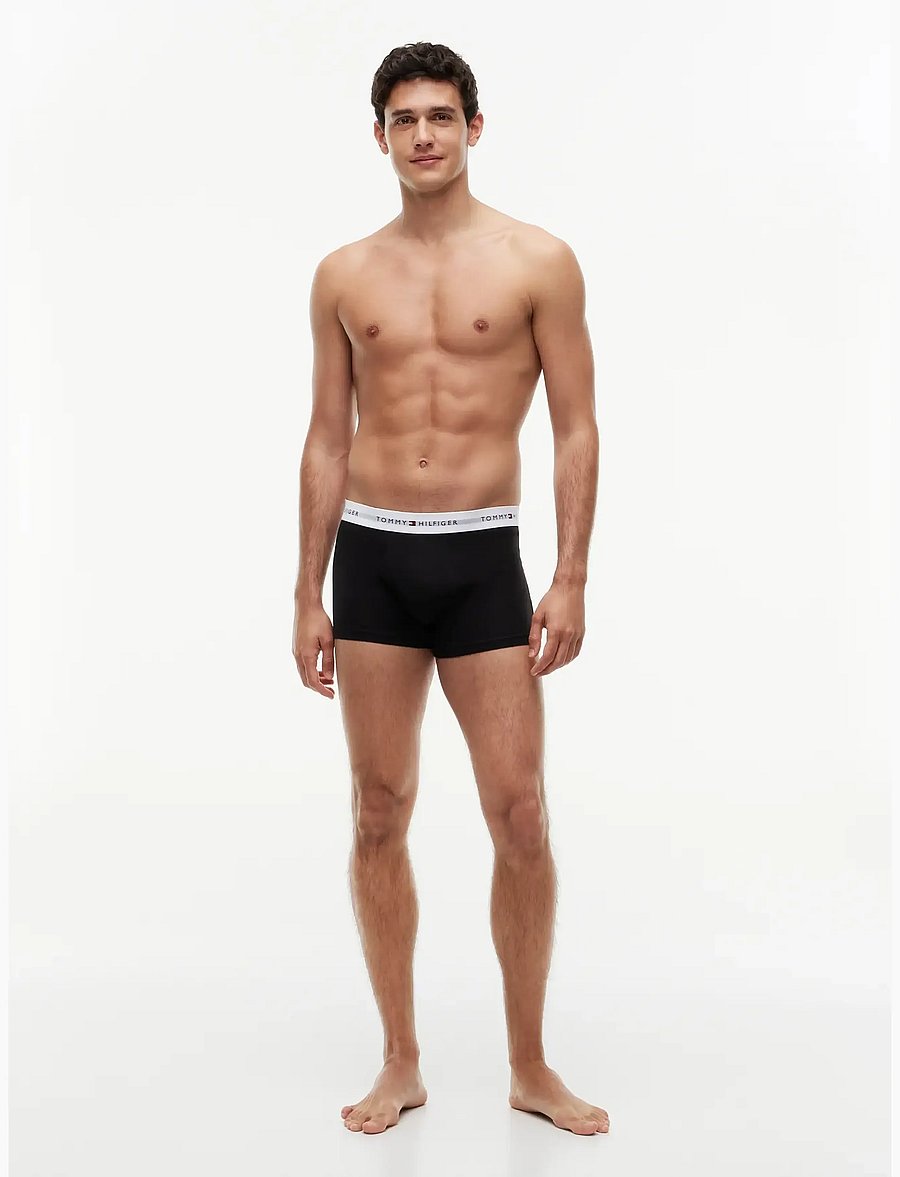 Tommy Hilfiger - 5P TRUNK - multipakk aluspüksid - bn pnk blk mt grey br verm br blu - 2