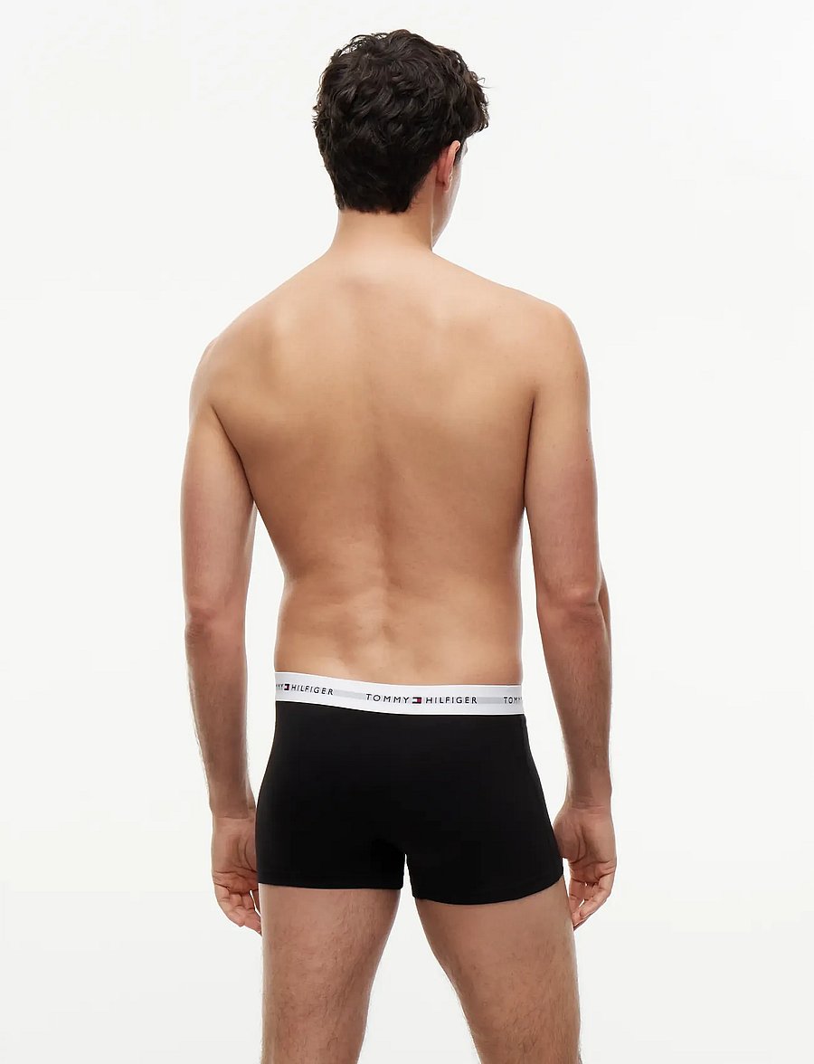 Tommy Hilfiger - 5P TRUNK - multipakk aluspüksid - bn pnk blk mt grey br verm br blu - 4
