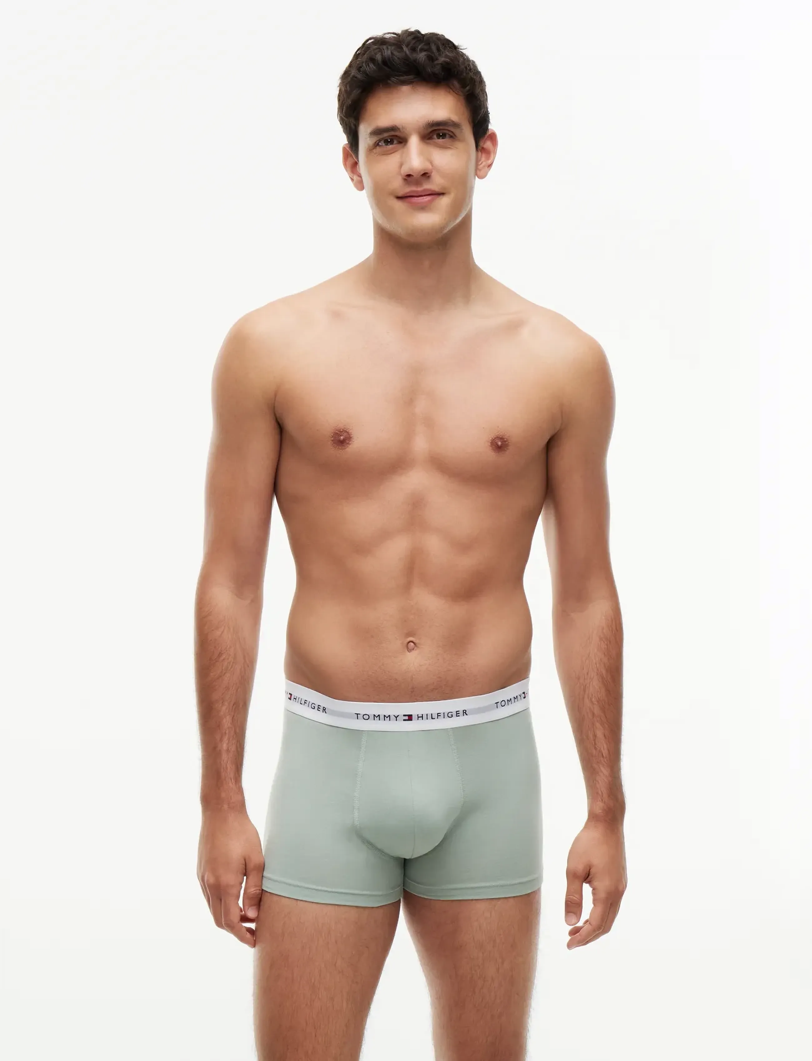 Tommy Hilfiger - 5P TRUNK - multipakk aluspüksid - bn pnk blk mt grey br verm br blu - 5