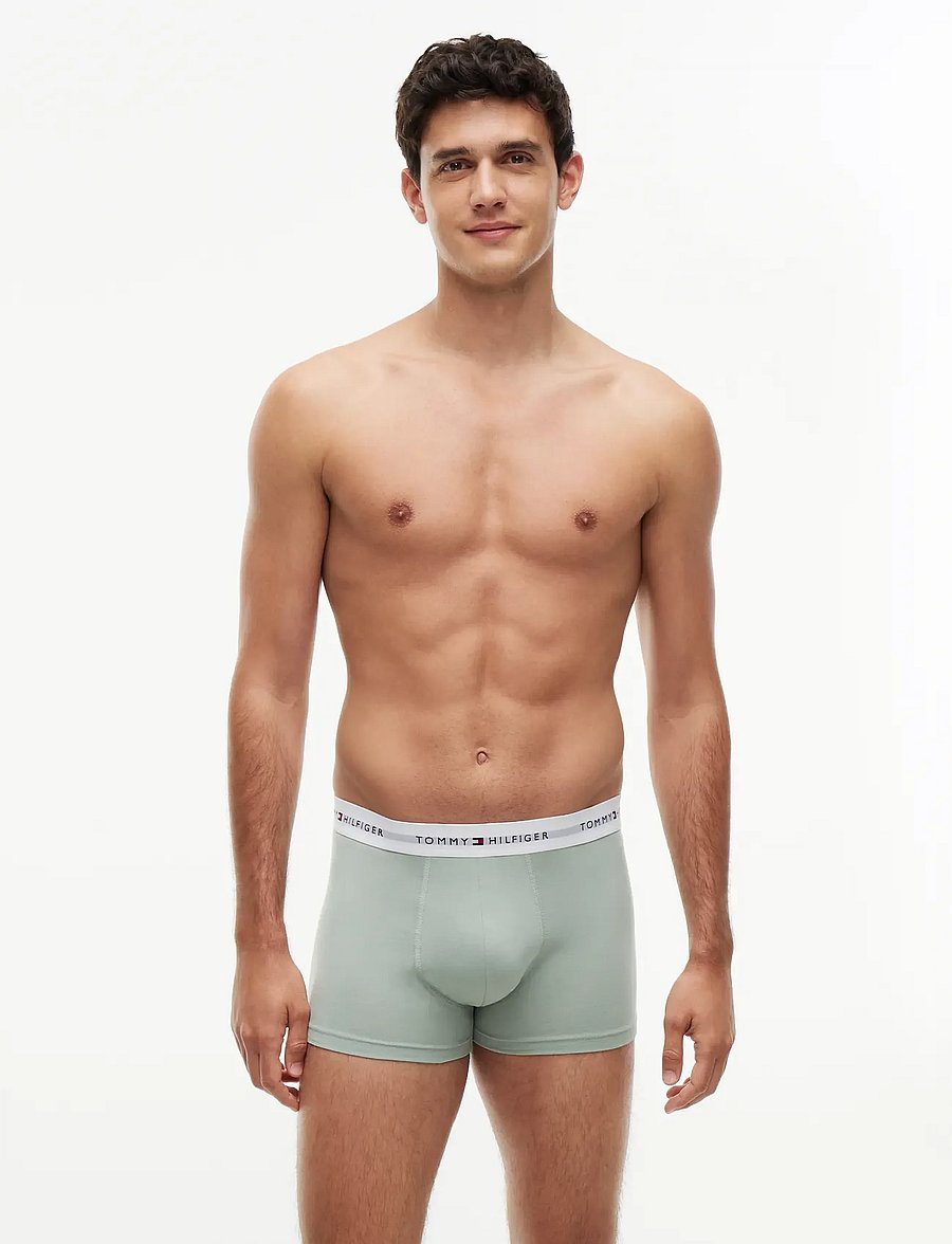 Tommy Hilfiger - 5P TRUNK - multipakk aluspüksid - bn pnk blk mt grey br verm br blu - 5