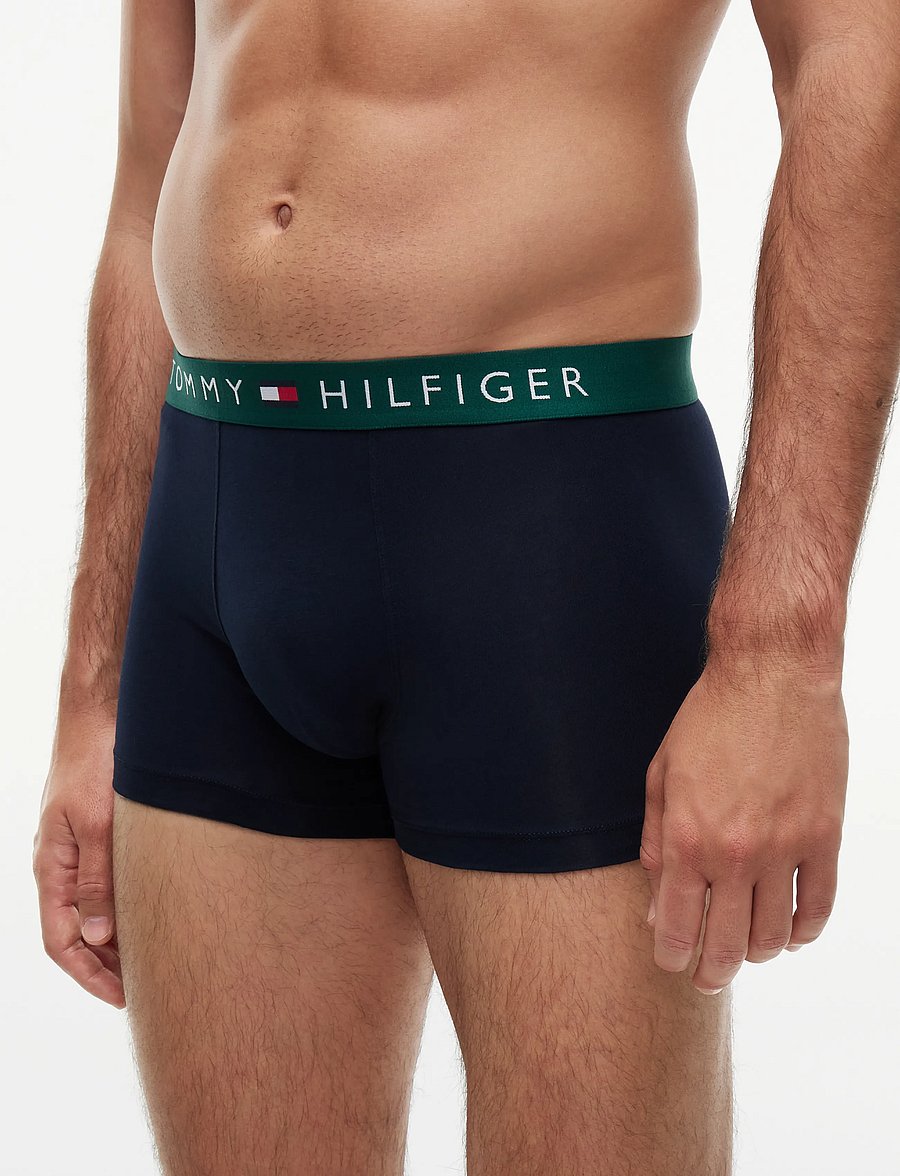 Tommy Hilfiger - 3P TRUNK WB - majtki w wielopaku - nb saf canvas mnty grey deep spru - 3