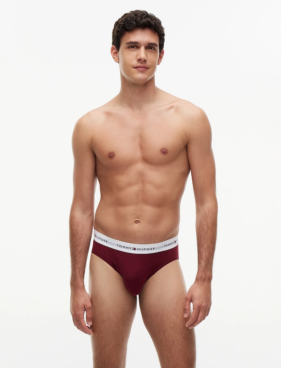 Tommy Hilfiger - 5P BRIEF - multipack underbukser - md rd crb nv lt gr hthr burg no bl - 0