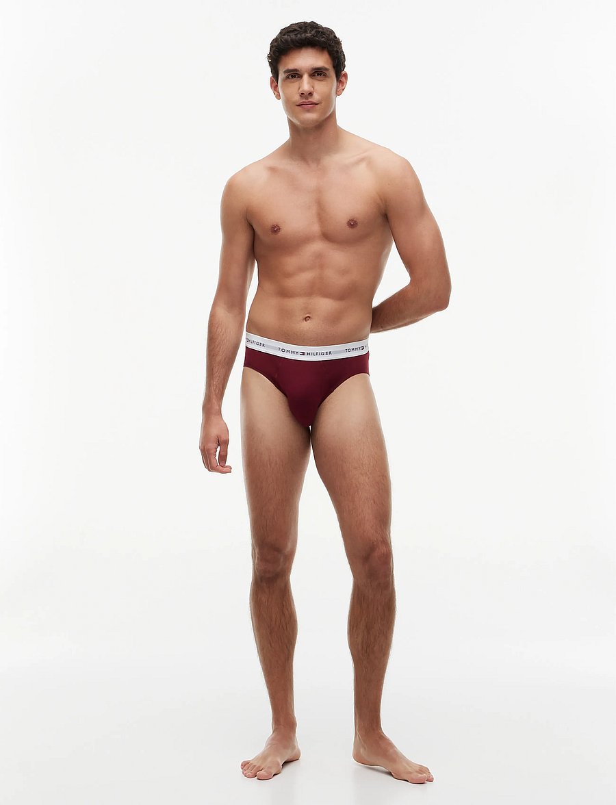 Tommy Hilfiger - 5P BRIEF - multipack underbukser - md rd crb nv lt gr hthr burg no bl - 2
