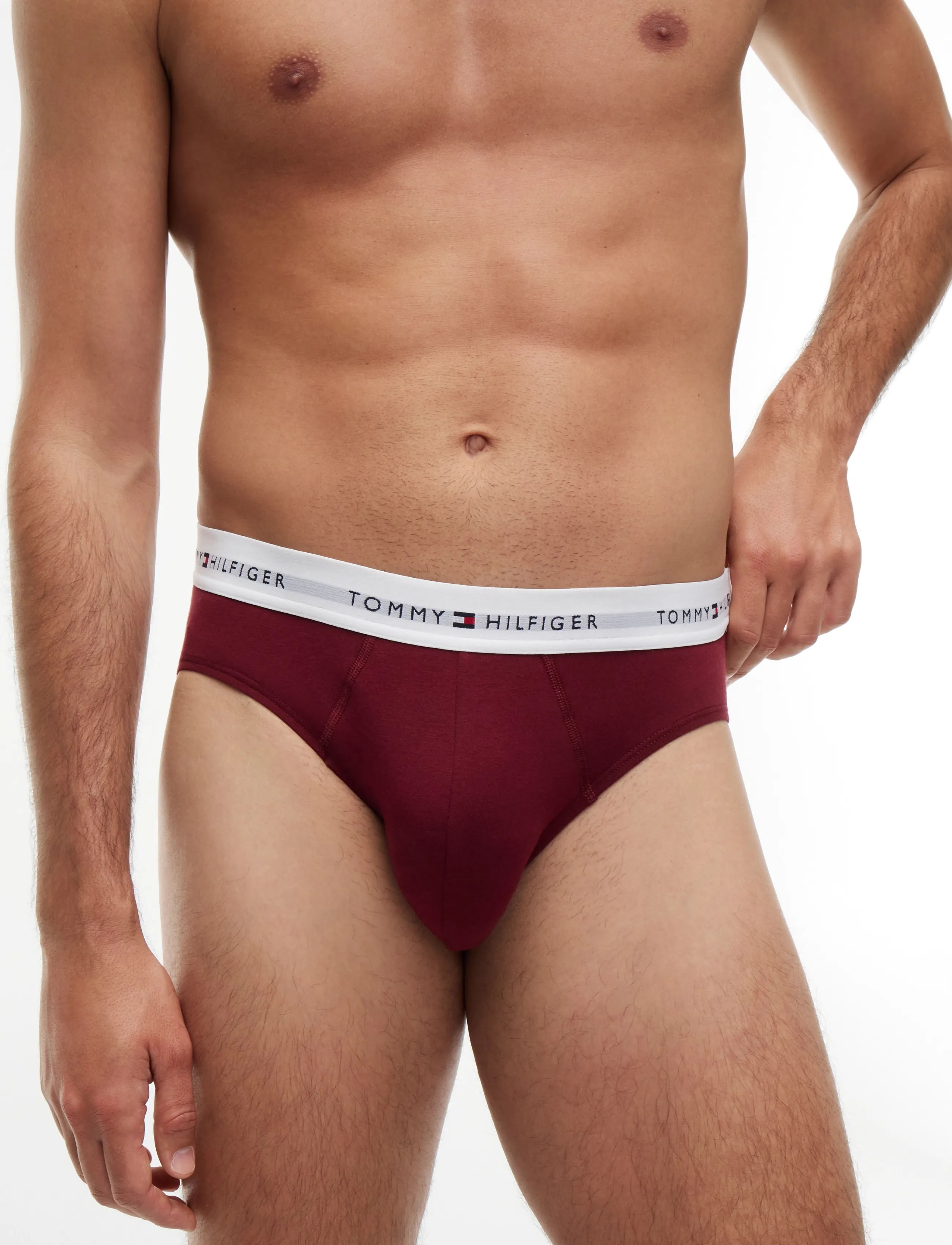 Tommy Hilfiger - 5P BRIEF - multipack underbukser - md rd crb nv lt gr hthr burg no bl - 3