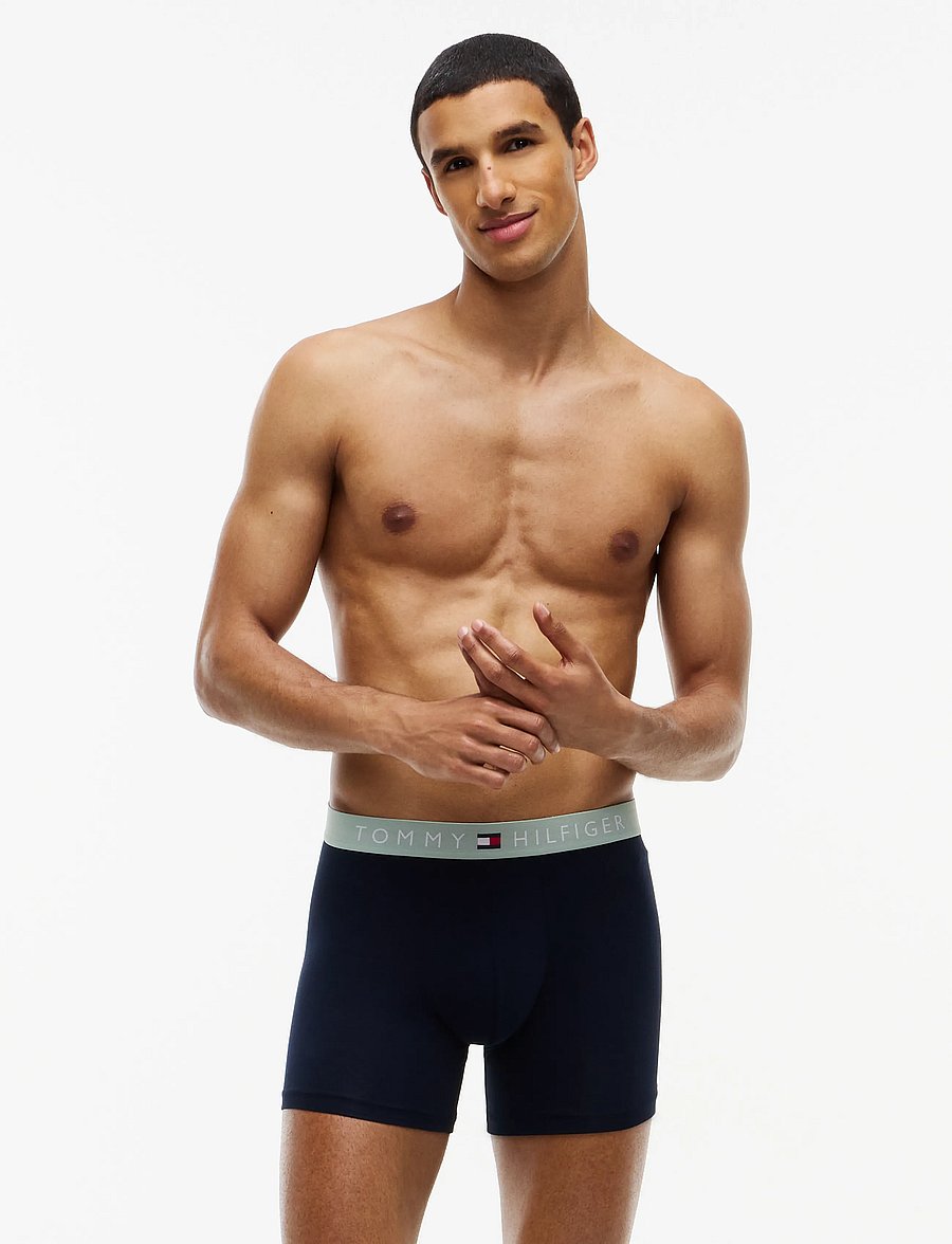 Tommy Hilfiger - 3P BOXER BRIEF WB - bokserid - nb saf canvas mnty grey deep spru - 0