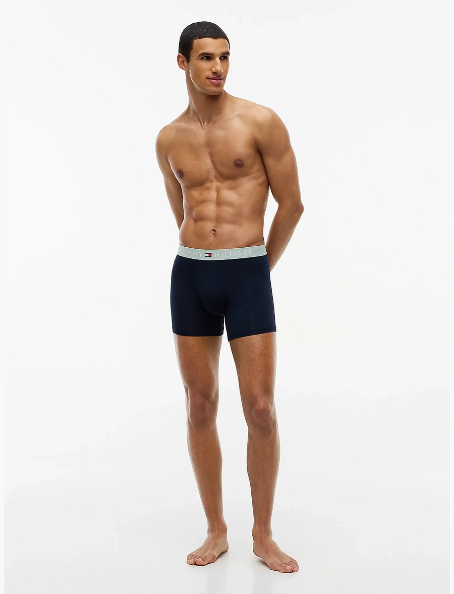 Tommy Hilfiger - 3P BOXER BRIEF WB - bokserid - nb saf canvas mnty grey deep spru - 2