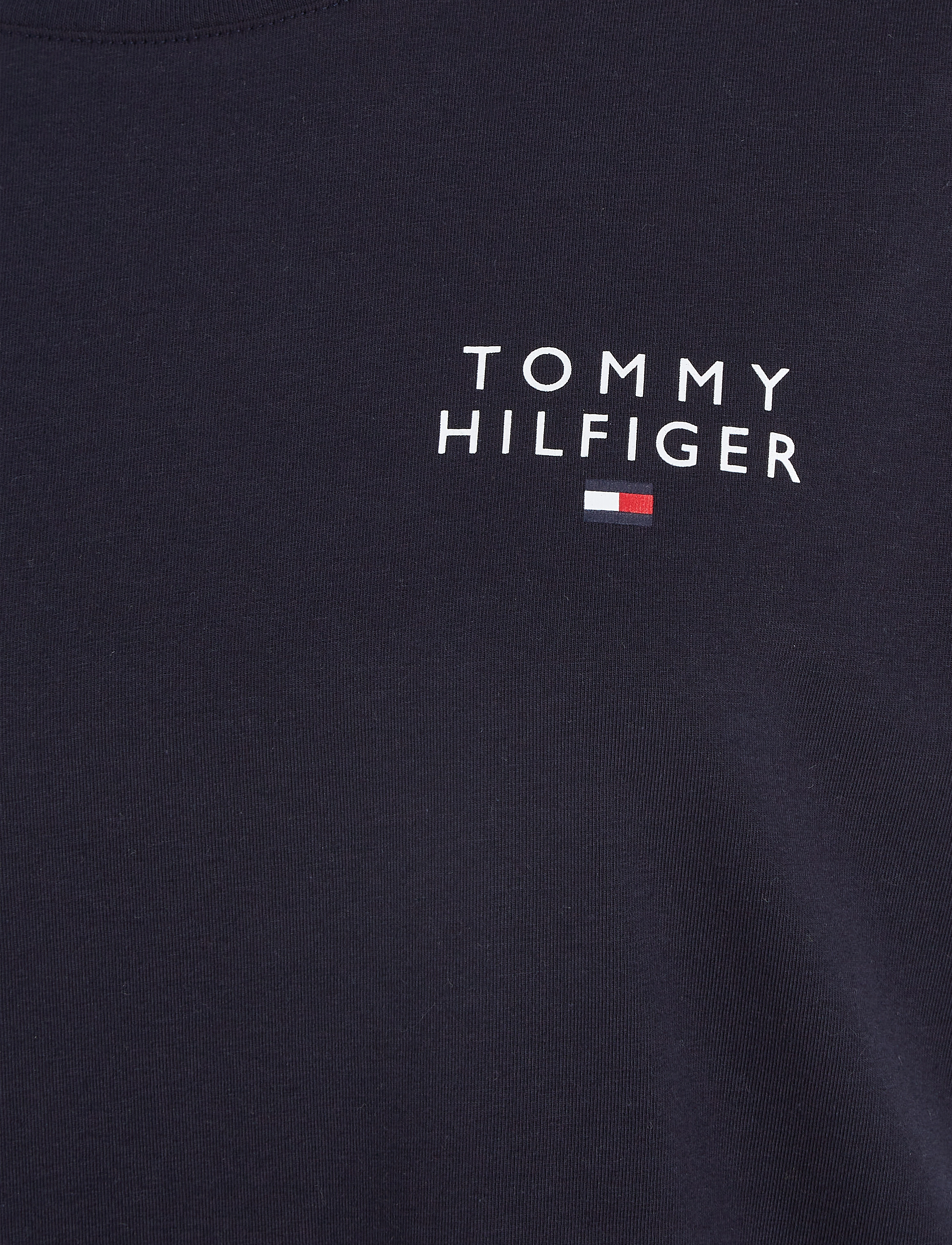 Tommy Hilfiger - SHORT SLEEVE T-SHIRT - t-shirty - desert sky - 4