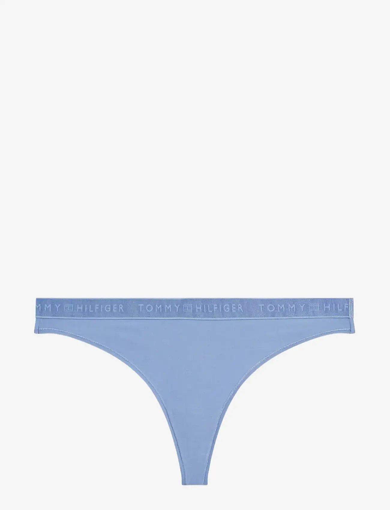Tommy Hilfiger - THONG  (EXT. SIZES) - stringtrusser - brisk blue - 1