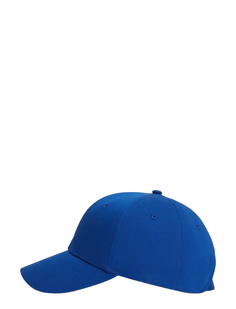 Tommy Hilfiger - TH FLAG COTTON 6 PANEL CAP - kasketter - regal navy - 2