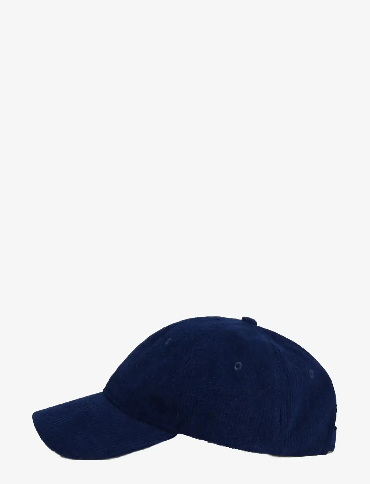 Tommy Hilfiger - TH FLAG 6 PANEL CORD CAP - kappen - preppy navy - 2