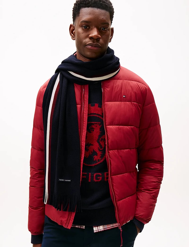 Tommy Hilfiger - TH RWB RACHELLE SCARF - talvesallid - space blue - 0