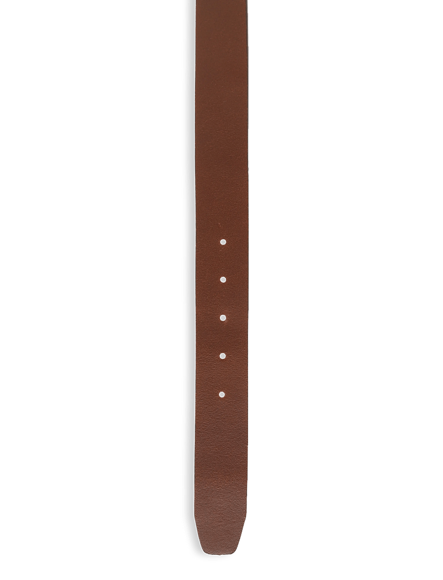 Tommy Hilfiger - TH CASUAL 3.5 SOFT LEATHER - classic belts - coffee bean - 2