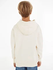 Tommy Hilfiger - HILFIGER ARCHED HOODIE - hupparit - ancient white - 2