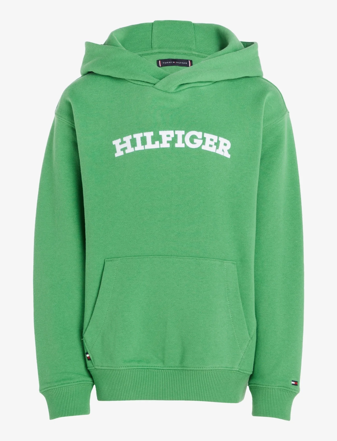 Tommy Hilfiger - HILFIGER ARCHED HOODIE - džemperi ar kapuci - coastal green - 0