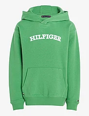 Tommy Hilfiger - HILFIGER ARCHED HOODIE - džemperi ar kapuci - coastal green - 0