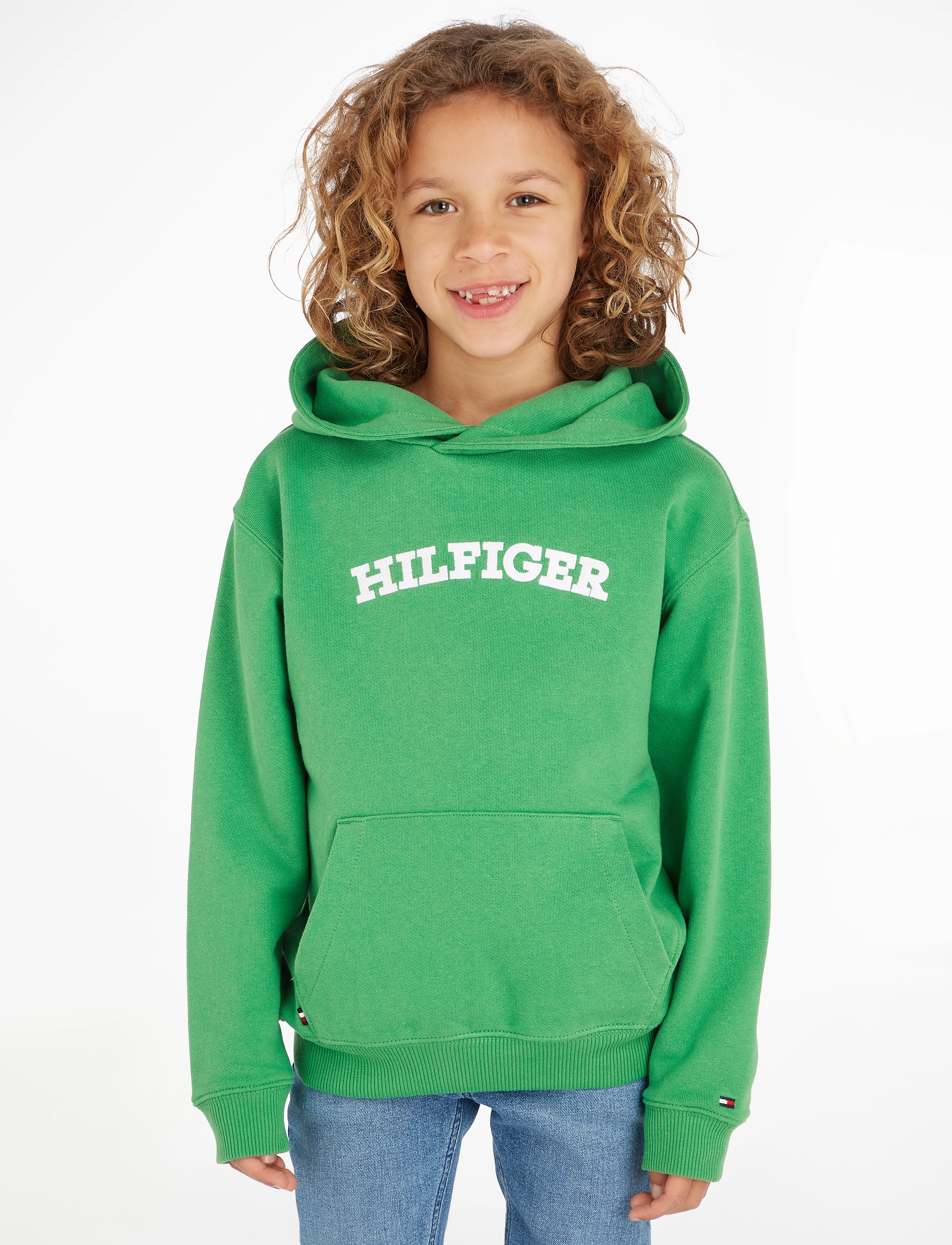 Tommy Hilfiger - HILFIGER ARCHED HOODIE - coastal green - 1