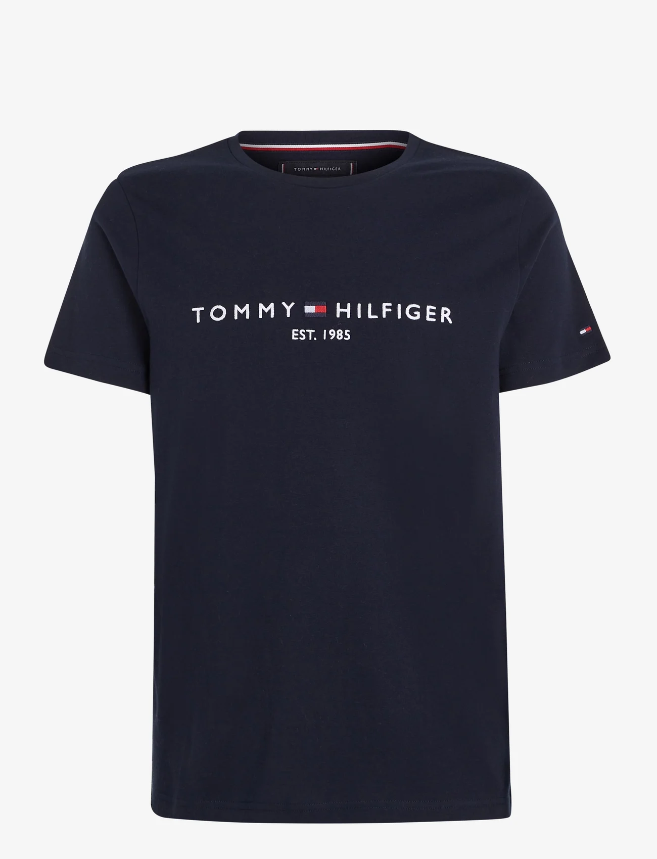 Tommy Hilfiger - CORE TOMMY LOGO TEE - lyhythihaiset - sky captain - 1