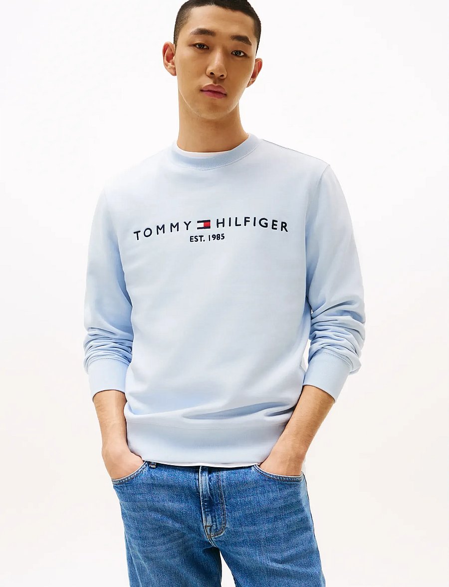 Tommy Hilfiger - TOMMY LOGO SWEATSHIRT - sweatshirts - breezy blue - 0