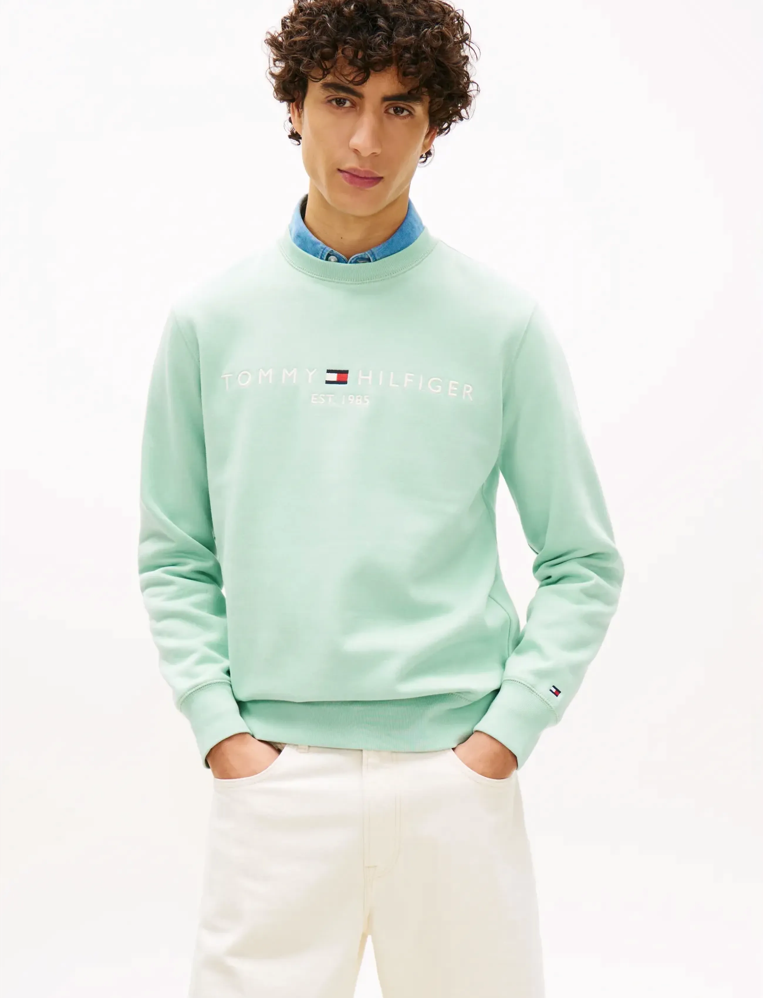 Tommy Hilfiger TOMMY LOGO SWEATSHIRT - Dressipluusid - CRUSHED MINT / green