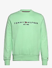 Tommy Hilfiger - TOMMY LOGO SWEATSHIRT - dressipluusid - mint gel - 0