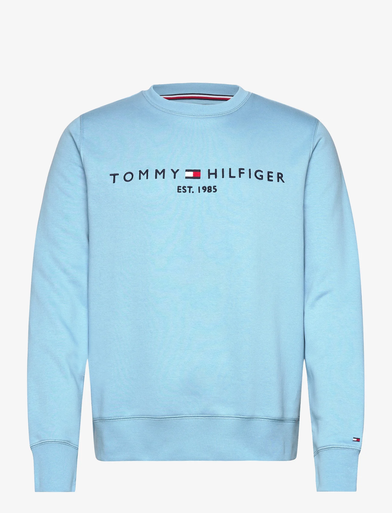 Tommy Hilfiger - TOMMY LOGO SWEATSHIRT - sweatshirts - sleepy blue - 0