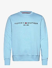 Tommy Hilfiger - TOMMY LOGO SWEATSHIRT - sweatshirts - sleepy blue - 0