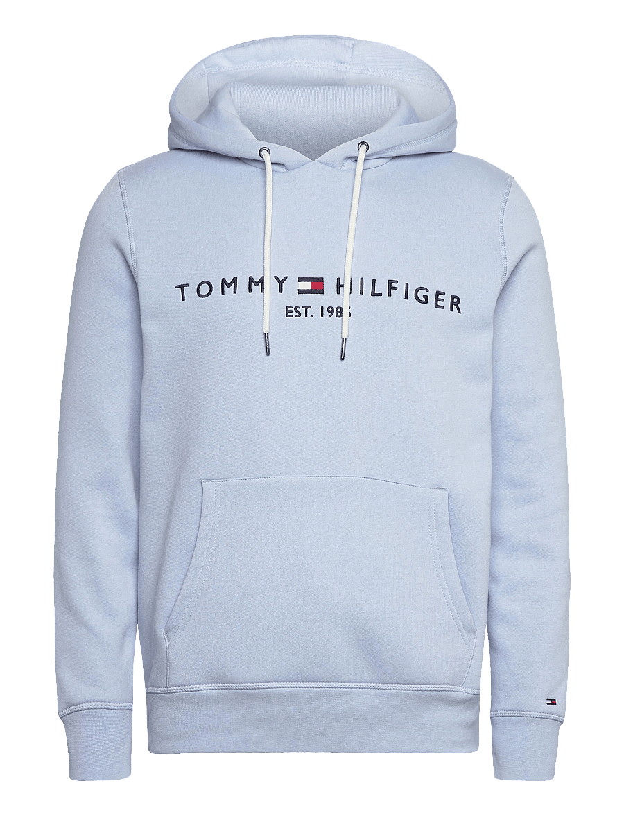 Tommy Hilfiger - TOMMY LOGO HOODY - sweats à capuche - breezy blue - 1