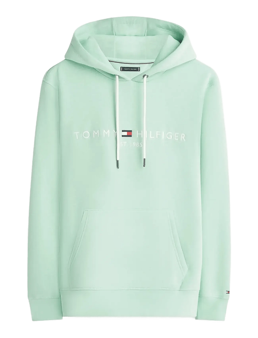 Tommy Hilfiger - TOMMY LOGO HOODY - kapuutsiga dressipluusid - crushed mint - 1