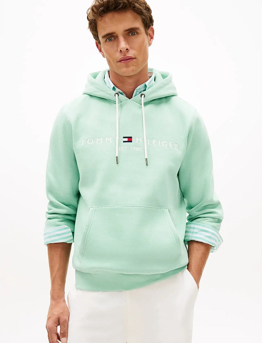 Tommy Hilfiger - TOMMY LOGO HOODY - kapuutsiga dressipluusid - crushed mint - 0