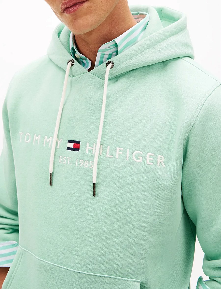 Tommy Hilfiger - TOMMY LOGO HOODY - kapuutsiga dressipluusid - crushed mint - 4