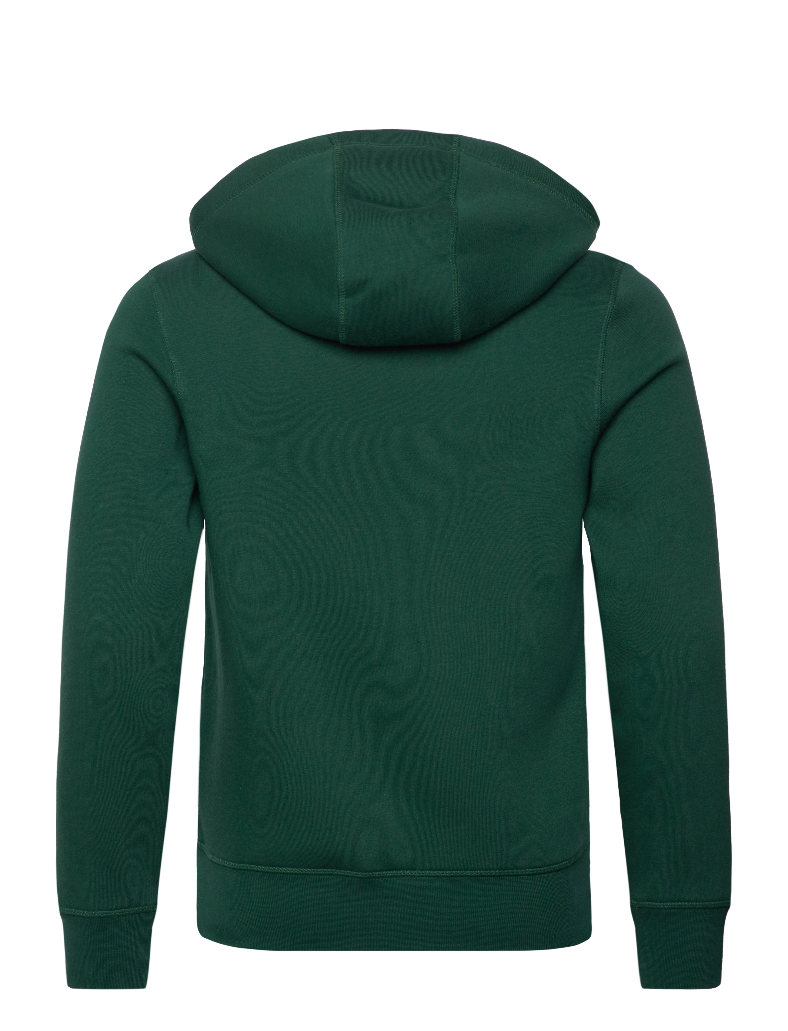 Tommy Hilfiger - TOMMY LOGO HOODY - hættetrøjer - ornamental green - 2
