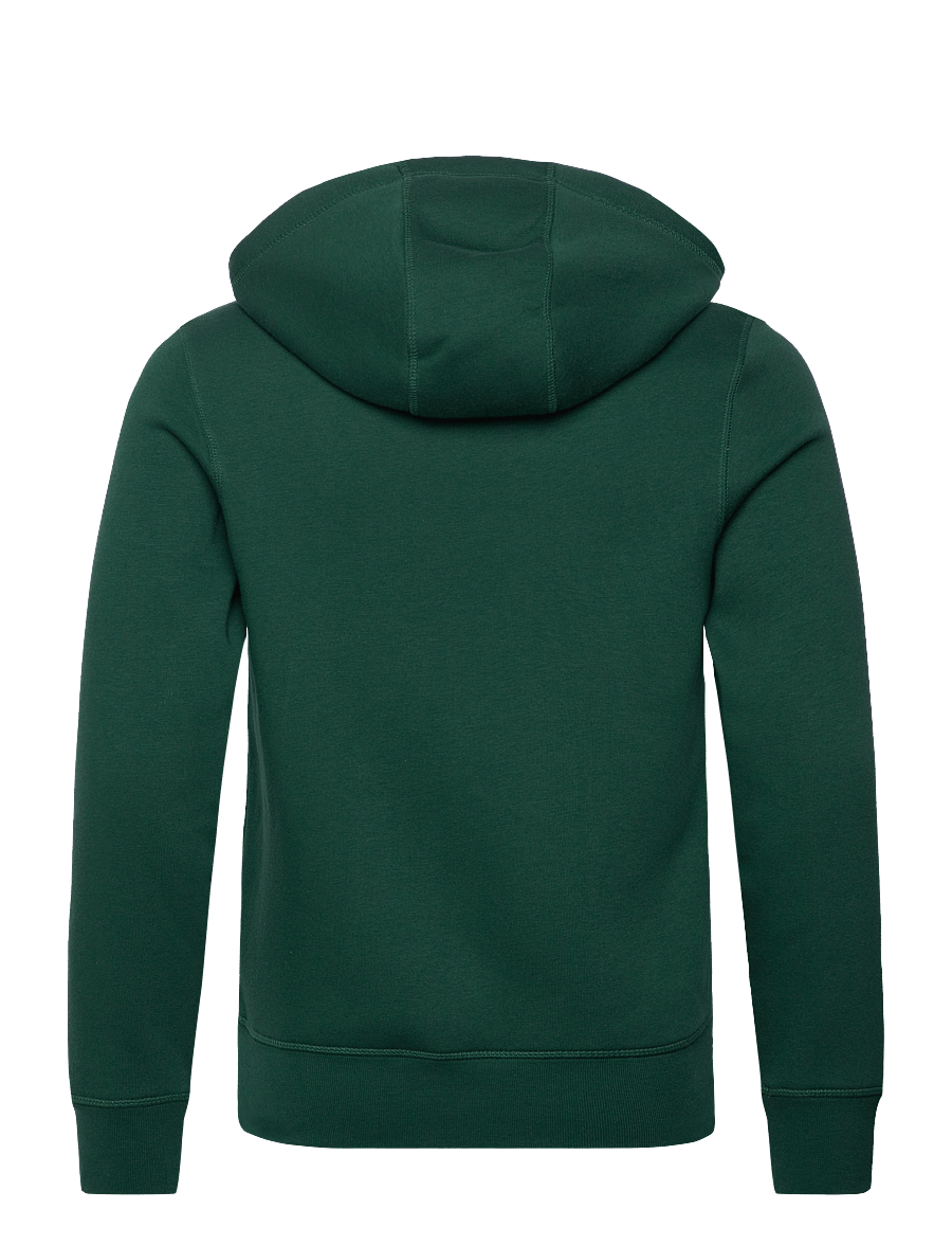 Tommy Hilfiger - TOMMY LOGO HOODY - kapuutsiga dressipluusid - ornamental green - 2