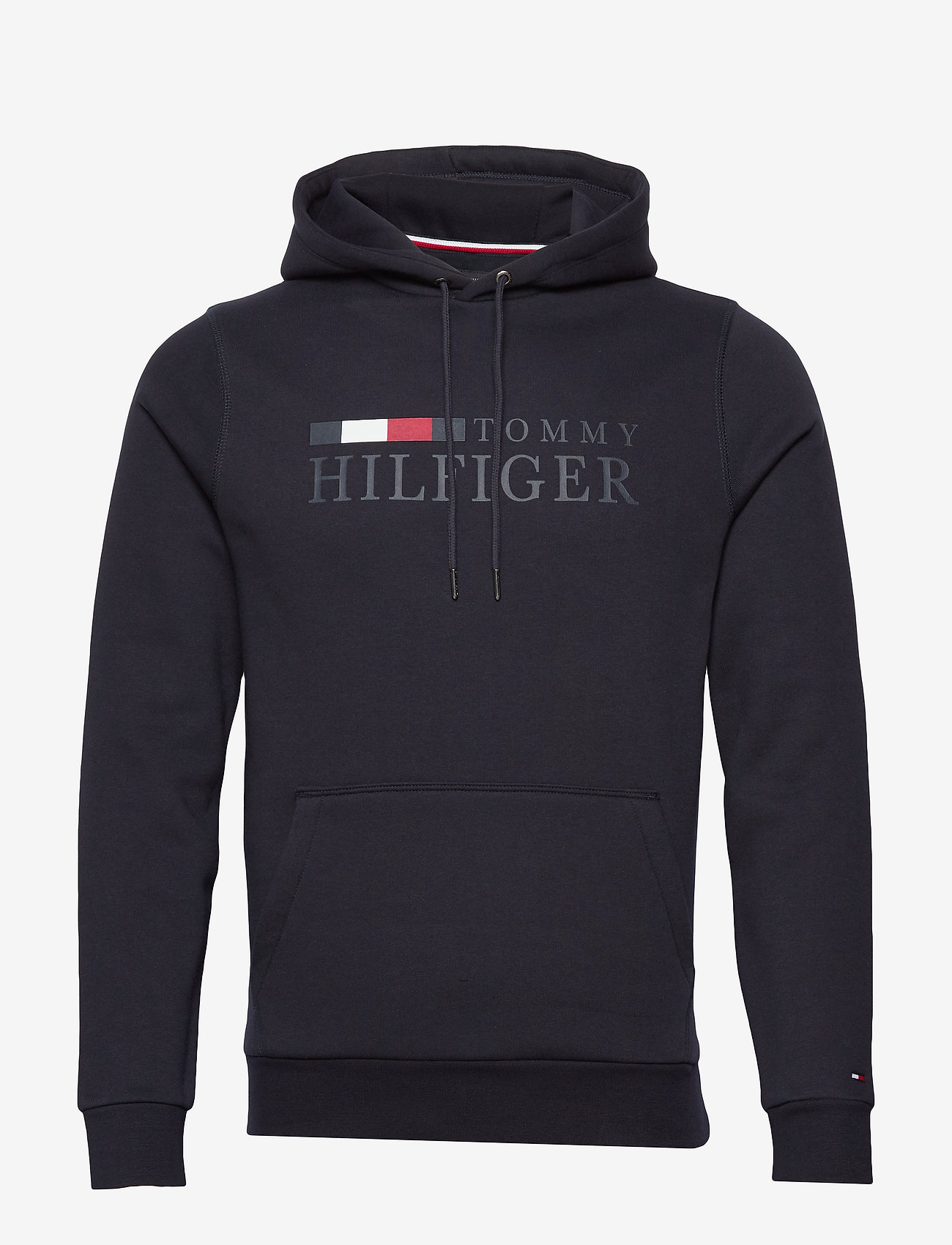 Tommy Hilfiger - BASIC HILFIGER HOODY - desert sky - 0