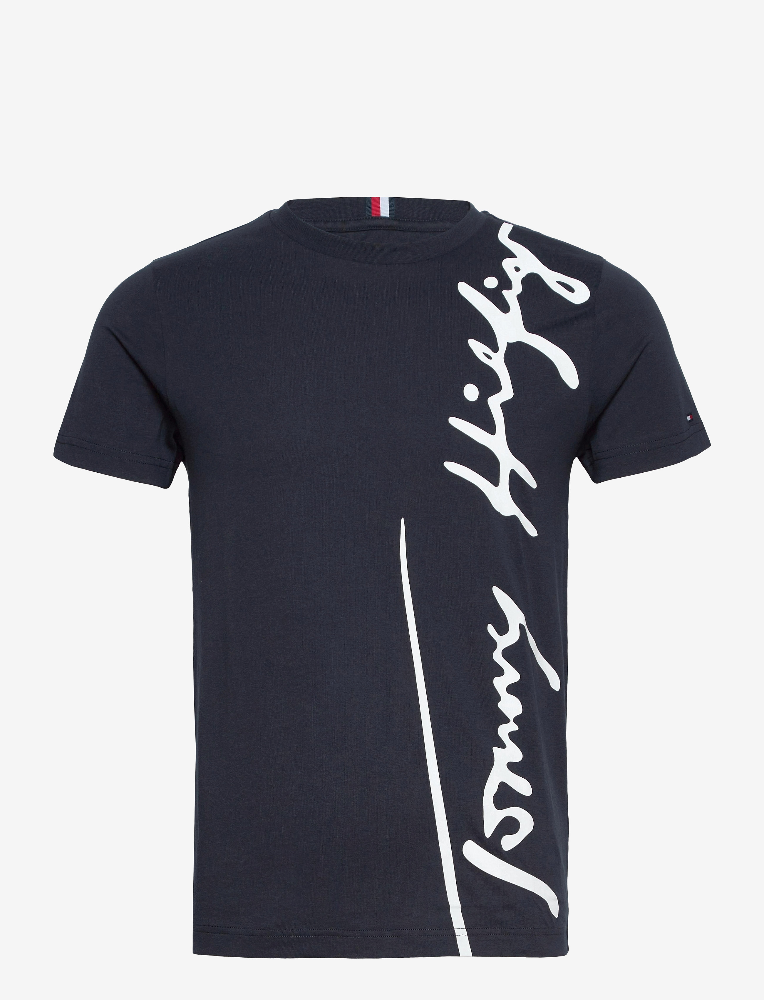 Tommy Hilfiger - TH COOL LARGE SIGNATURE TEE - desert sky - 0
