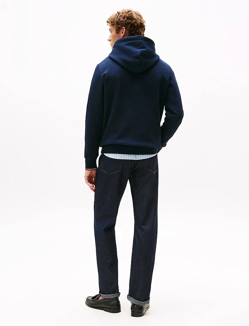 Tommy Hilfiger - TOMMY LOGO TIPPED HOODY - kapuzenpullover - desert sky - 3