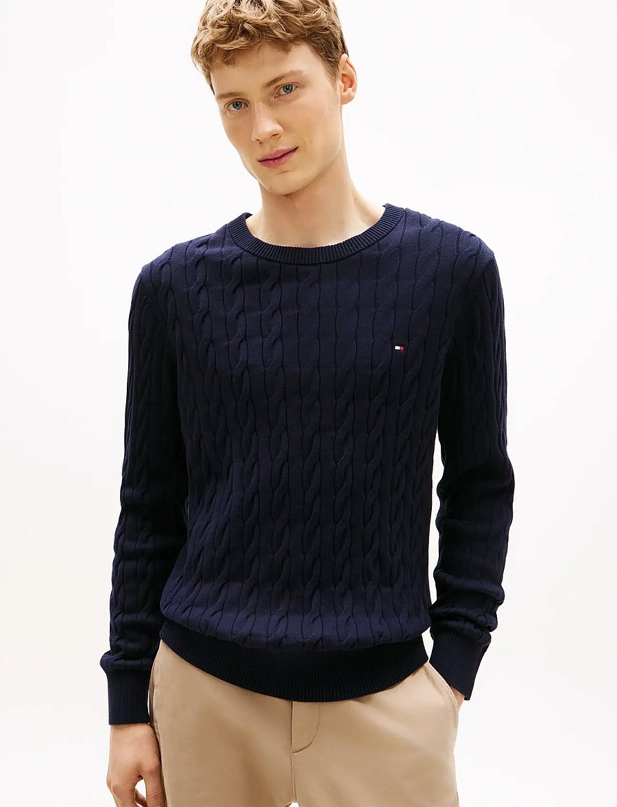 Tommy Hilfiger - CLASSIC COTTON CABLE CREW NECK - round necks - navy blue - 1