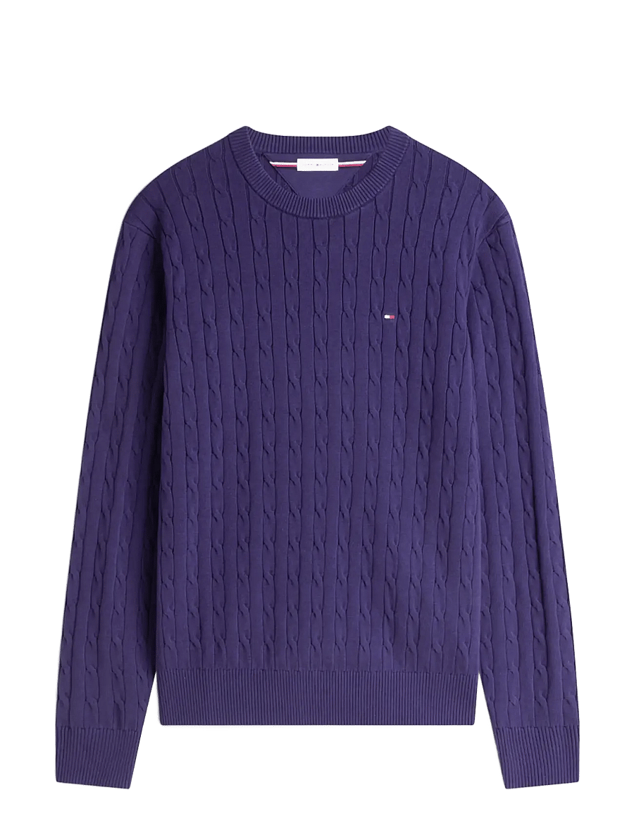 Tommy Hilfiger - CLASSIC COTTON CABLE CREW NECK - rundhals - nocturnal purple - 1