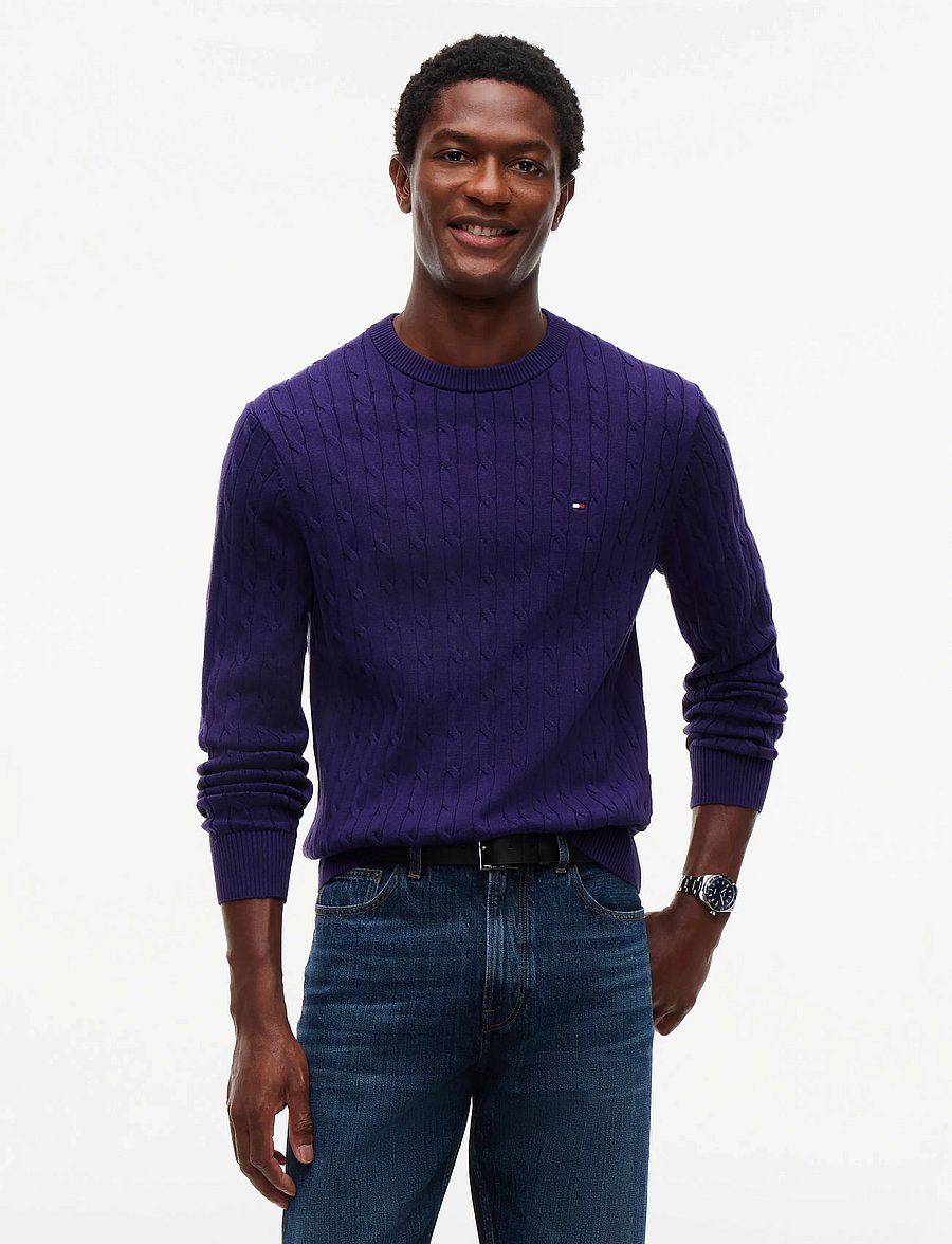 Tommy Hilfiger - CLASSIC COTTON CABLE CREW NECK - rundhals - nocturnal purple - 0