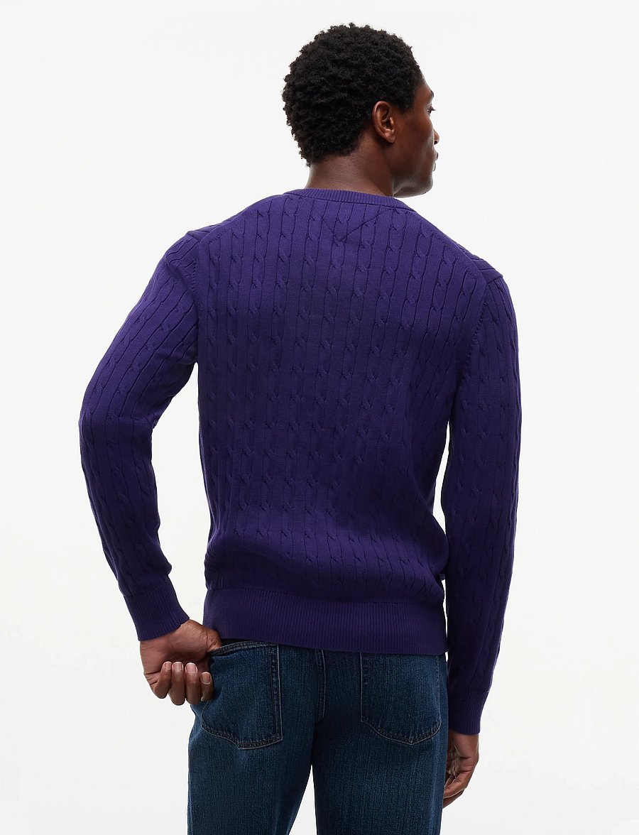 Tommy Hilfiger - CLASSIC COTTON CABLE CREW NECK - rundhals - nocturnal purple - 2