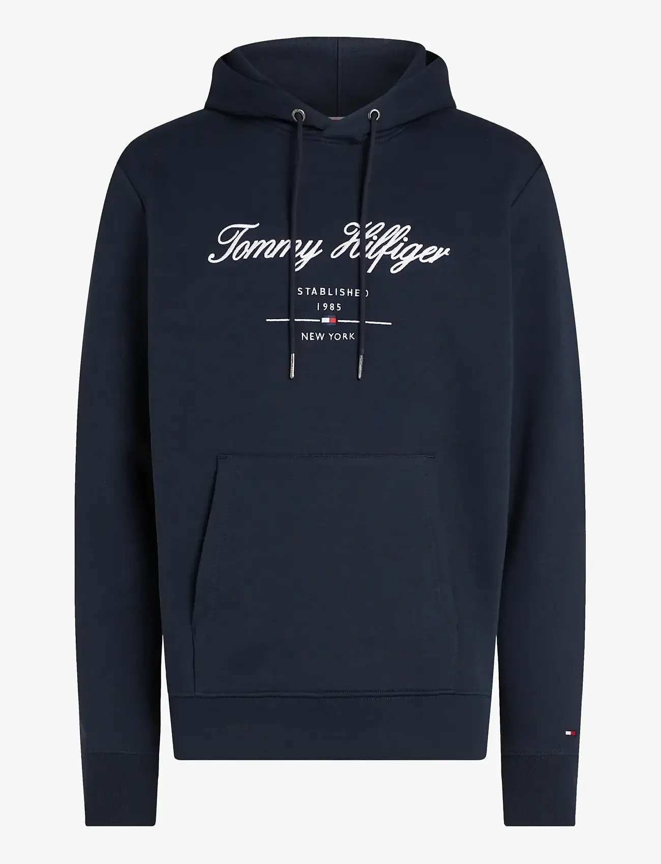 Tommy Hilfiger - SCRIPT LOGO HOODY - desert sky - 1