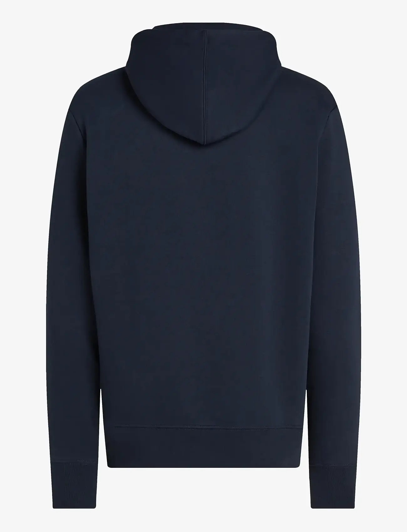 Tommy Hilfiger - SCRIPT LOGO HOODY - desert sky - 2