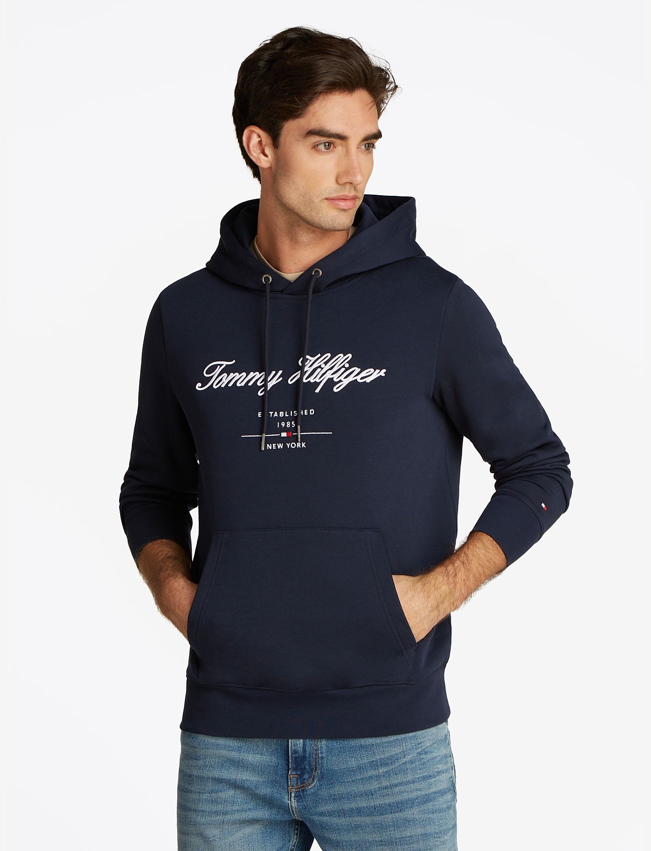 Tommy Hilfiger - SCRIPT LOGO HOODY - desert sky - 0