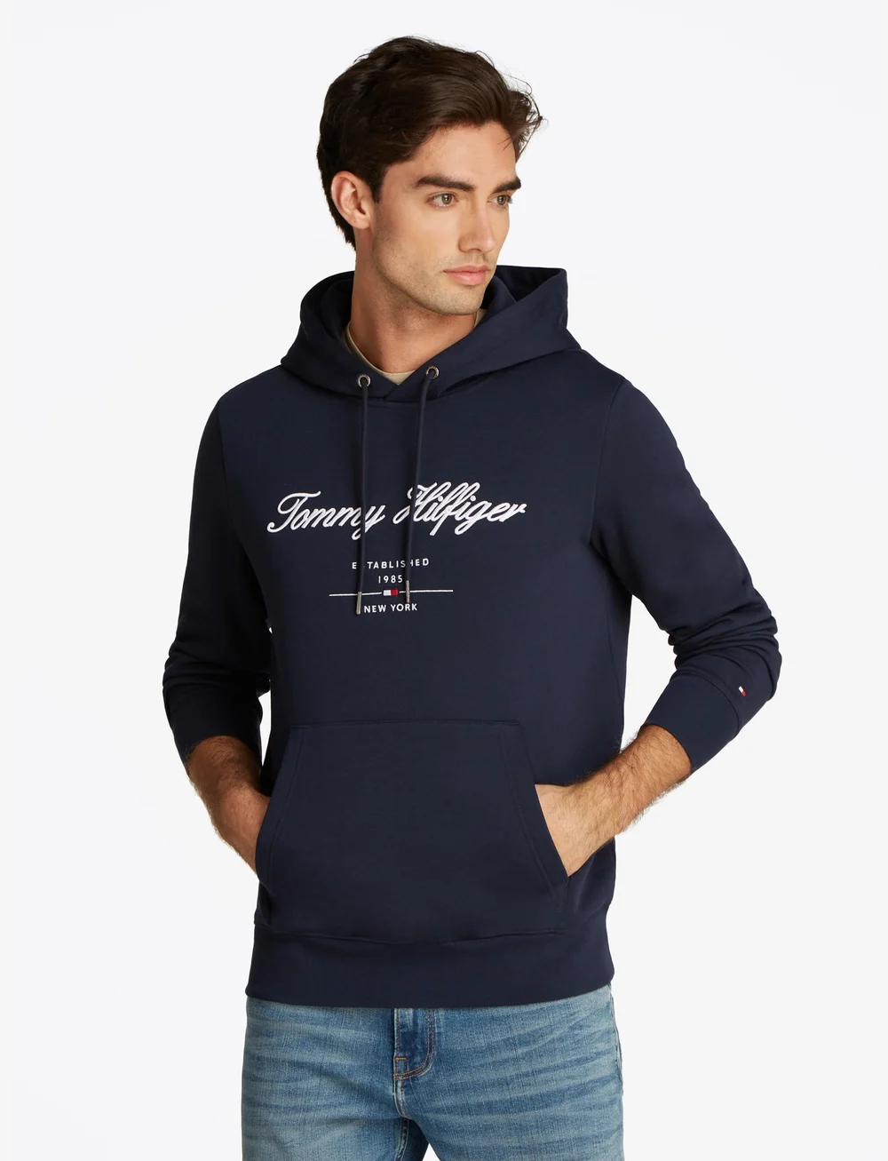 Tommy Hilfiger - SCRIPT LOGO HOODY - hættetrøjer - desert sky - 0