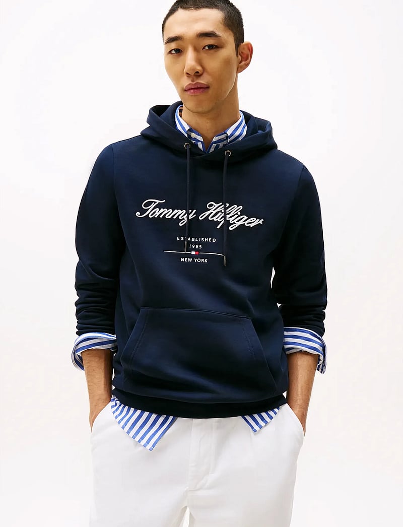 Tommy Hilfiger - SCRIPT LOGO HOODY - kapuzenpullover - desert sky - 0