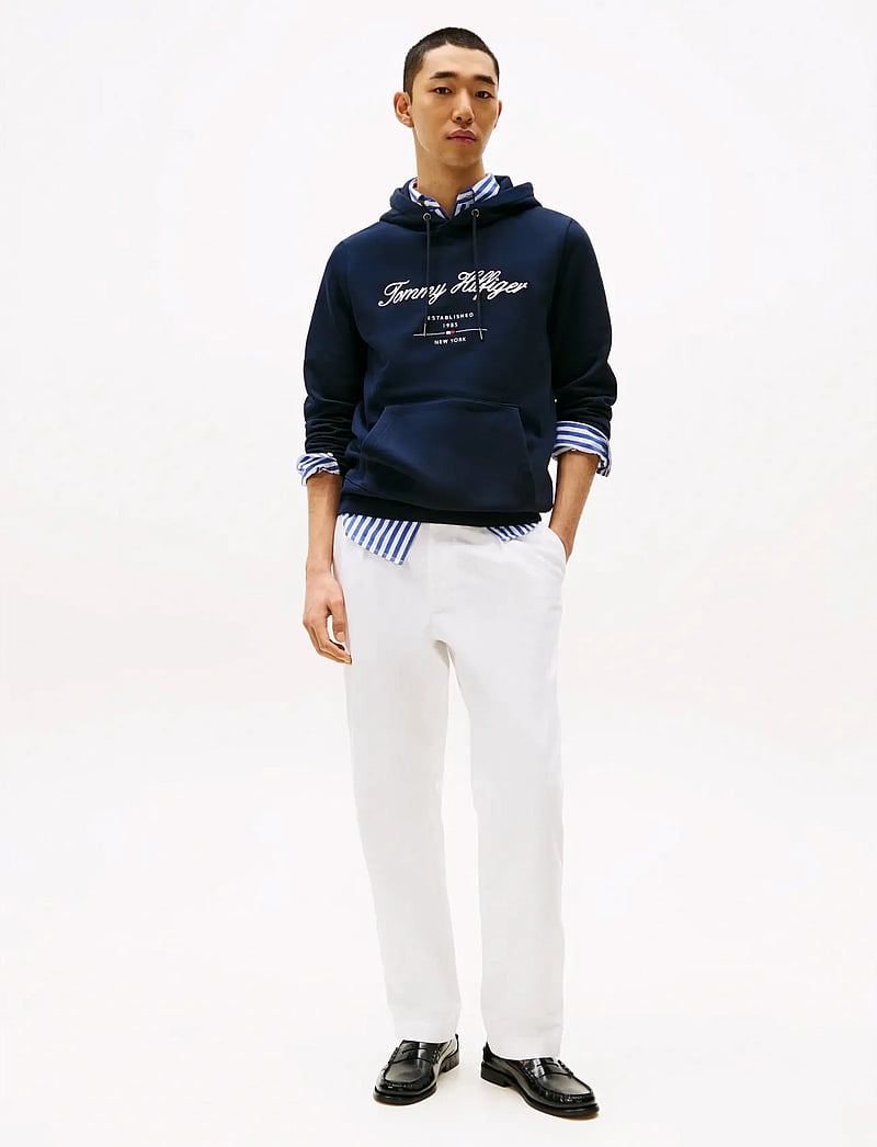 Tommy Hilfiger - SCRIPT LOGO HOODY - kapuzenpullover - desert sky - 3