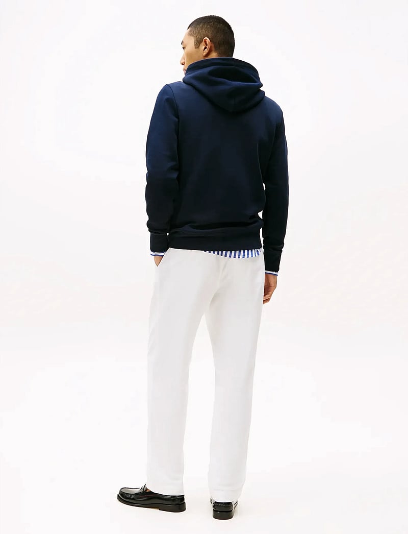 Tommy Hilfiger - SCRIPT LOGO HOODY - kapuzenpullover - desert sky - 4