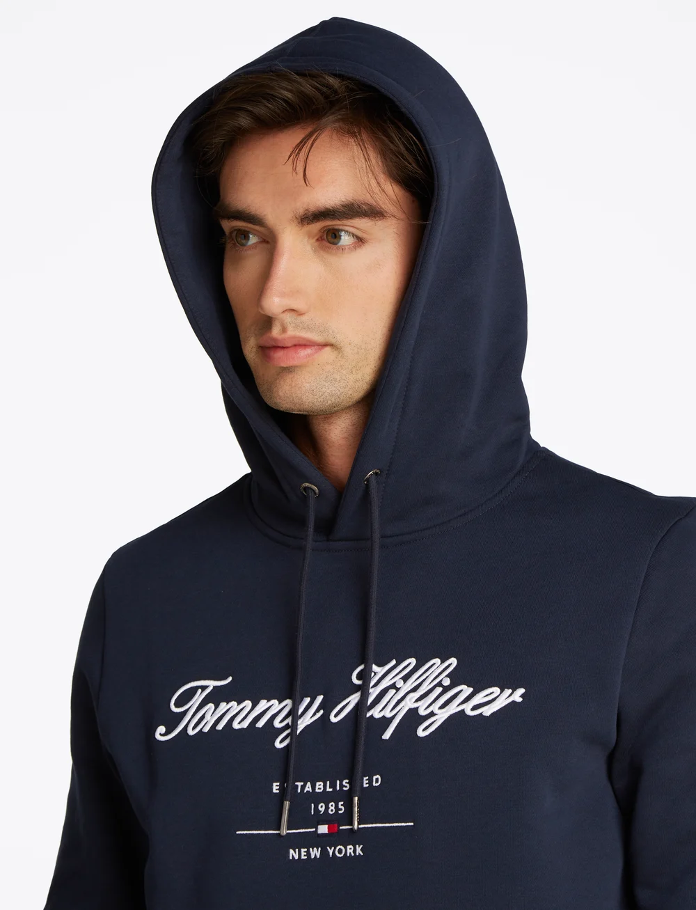 Tommy Hilfiger - SCRIPT LOGO HOODY - hættetrøjer - desert sky - 3