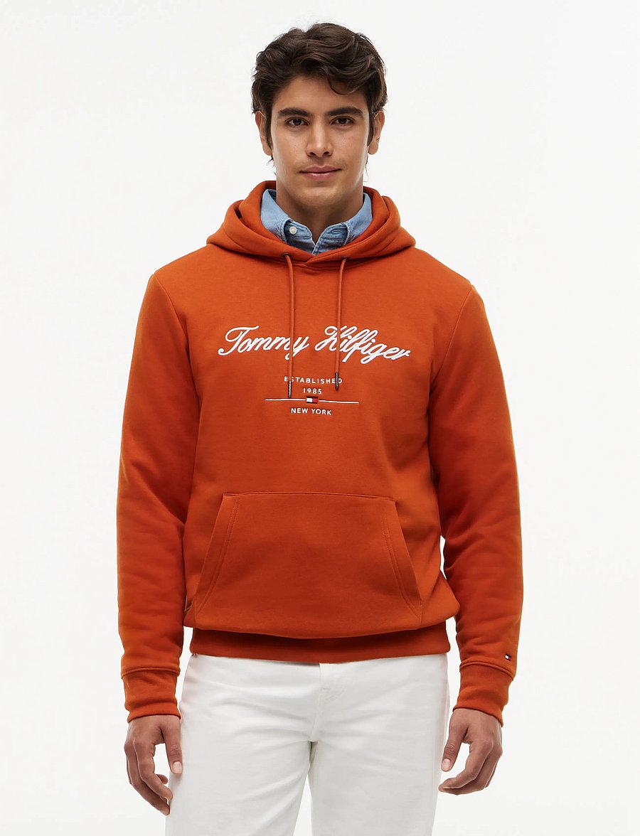 Tommy Hilfiger - SCRIPT LOGO HOODY - kapuzenpullover - rusty ochre - 0